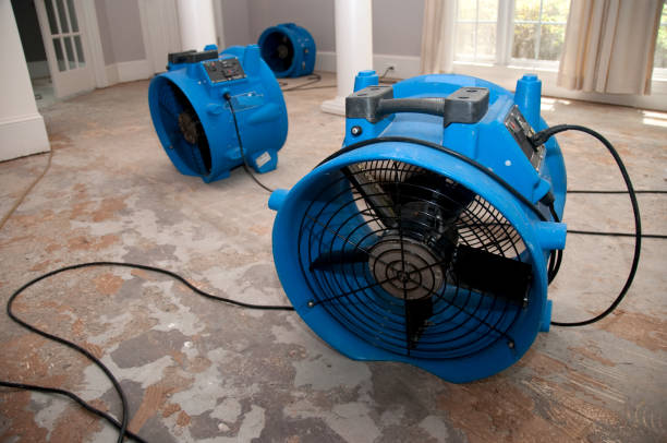 Best Water damage restoration near me  in Bayshe, OR