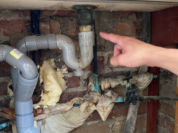 Best Basement water damage restoration  in Bayshe, OR
