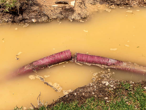Best Mold removal after water damage  in Bayshe, OR
